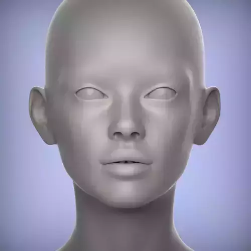 36 3D HEAD FACE FEMALE CHARACTER TEENAGER PORTRAIT DOLL 3D model