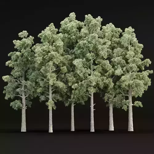 Pine trees collection vol 245 3D model