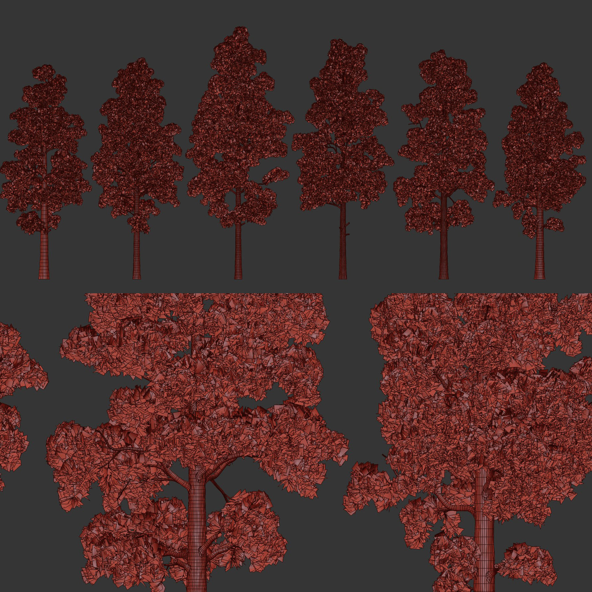 Pine trees collection vol 245 3D model_6
