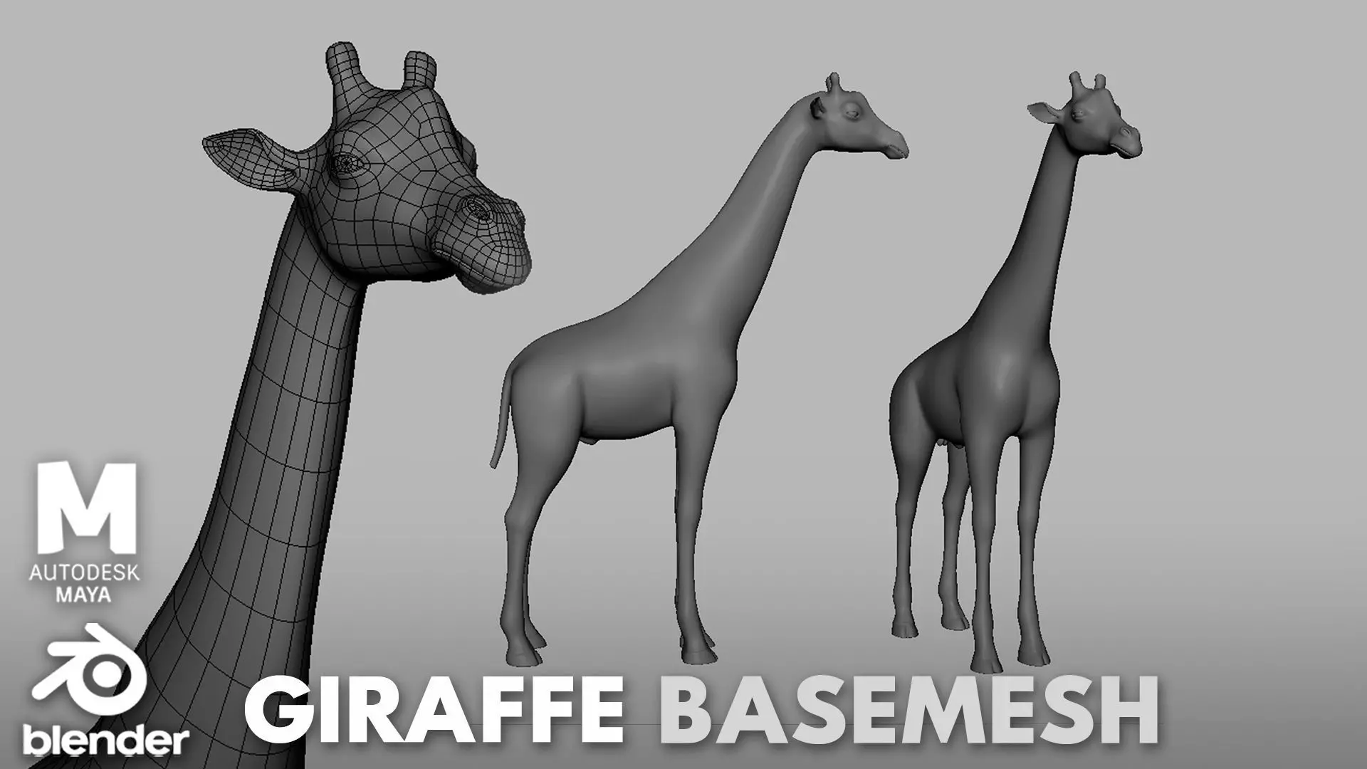 Giraffe Basemesh Low-poly 3D model_0