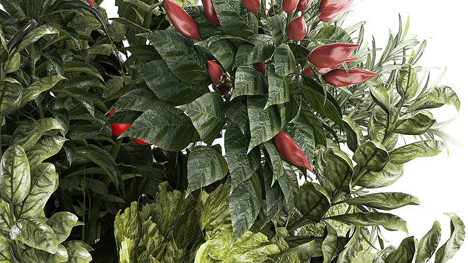 Bouquet of kitchen herbs and vegetables vase tomato pepper  3D model 6