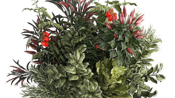 Bouquet of kitchen herbs and vegetables vase tomato pepper  3D model 3