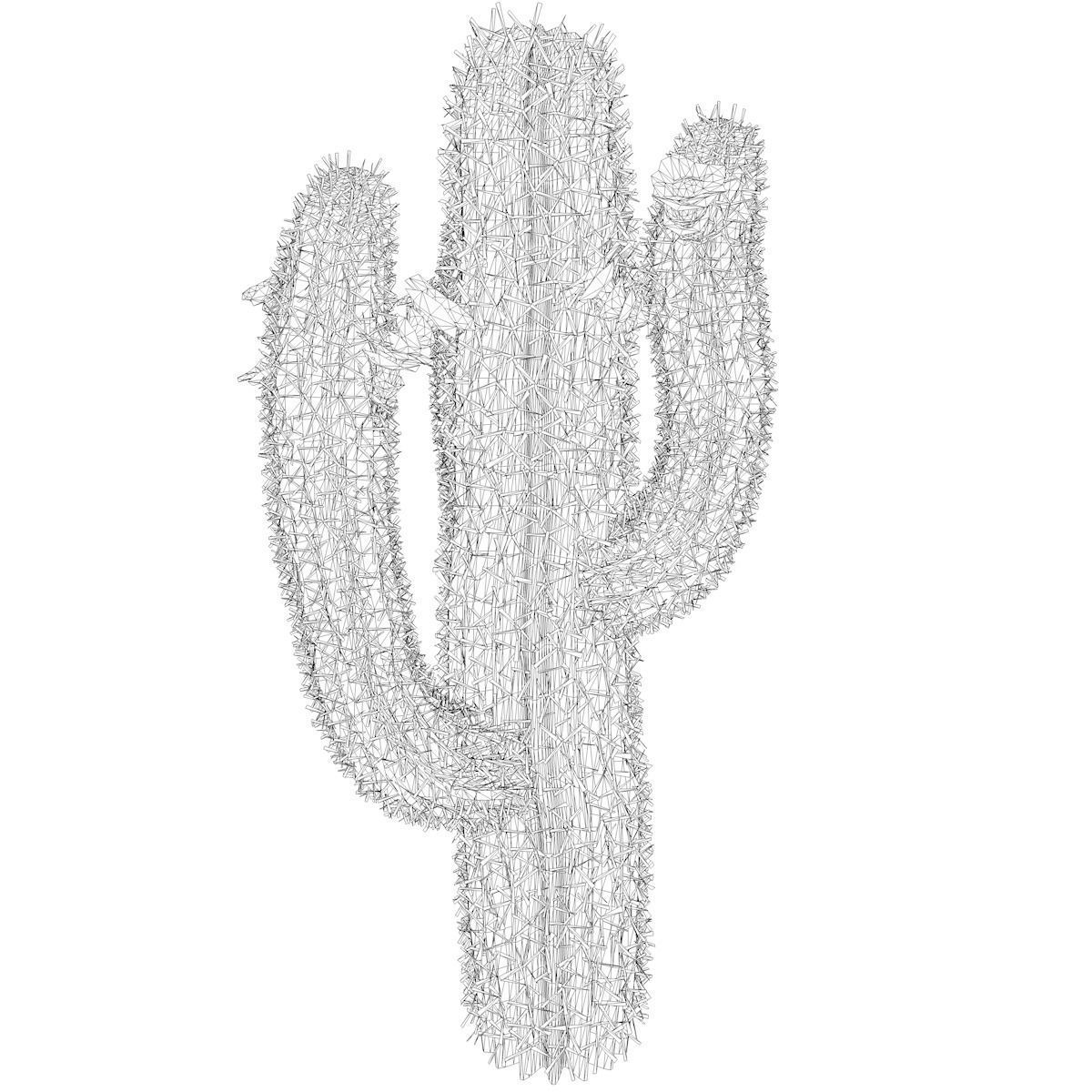Saguaro Cactus Plant - 10 - 3D model_2