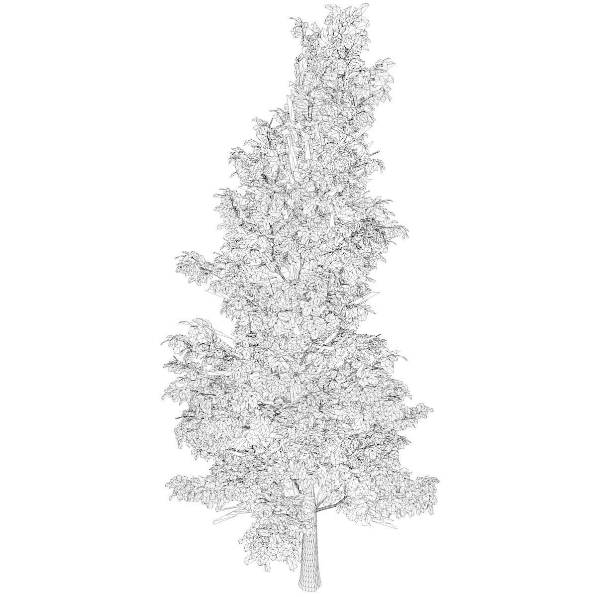 American Holly Tree - 04 - 3D model_1