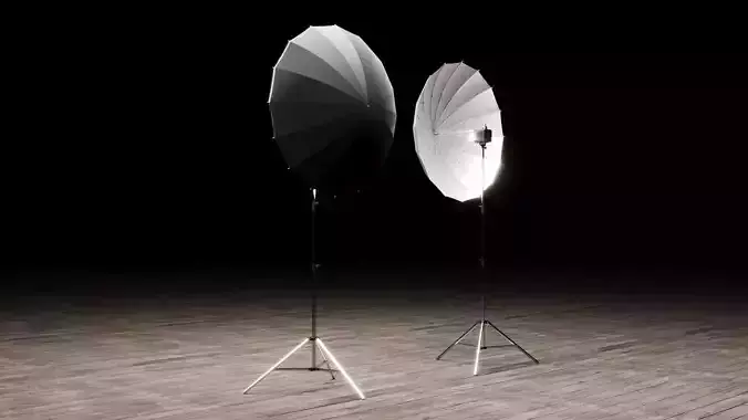 Photo Studio Umbrella Light 3D model