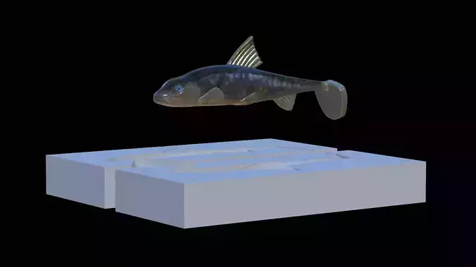 Bait gudgeon Gobio Gobio fish 10cm hoof form for predator fish 3D print model