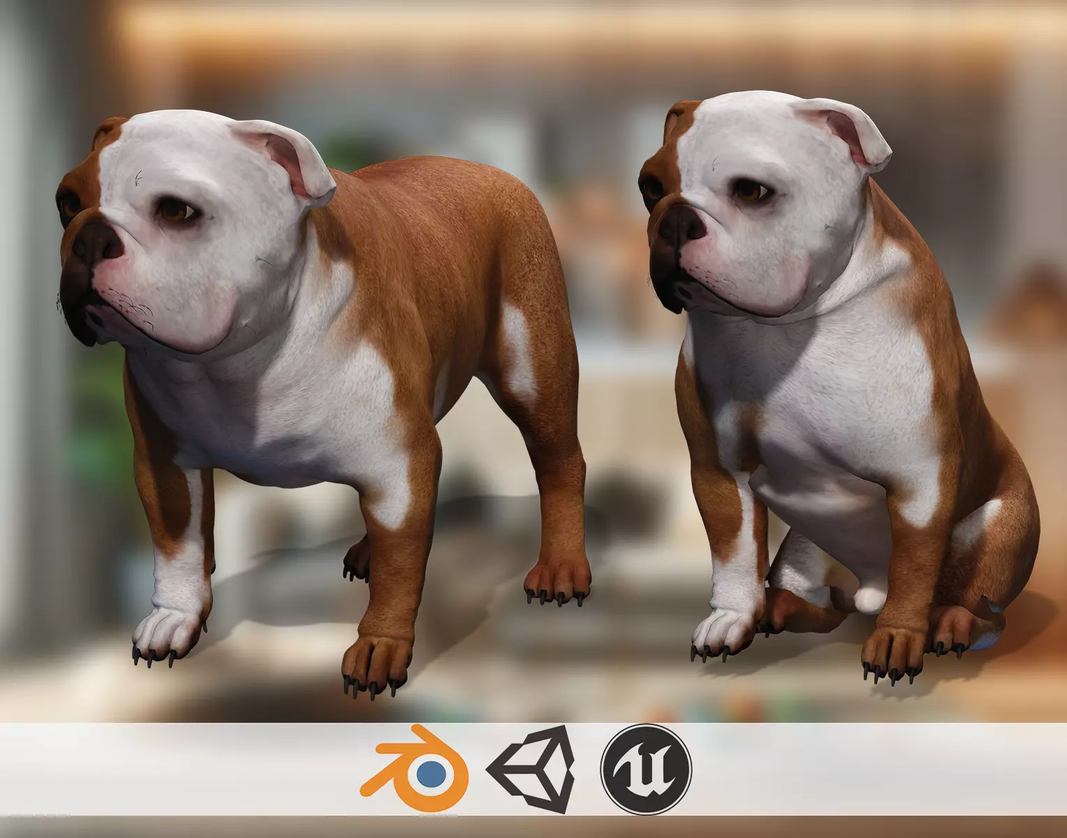 Pug Charming Bulldog French English Bulldog 3D Dog Models Low-poly 3D model_0