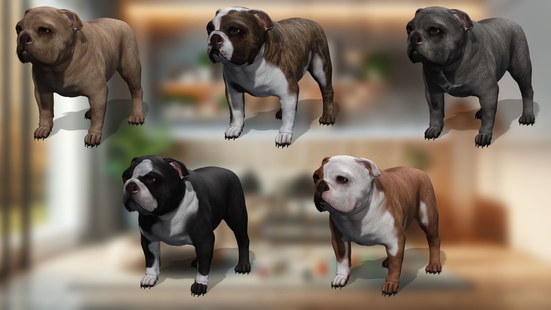 Pug Charming Bulldog French English Bulldog 3D Dog Models Low-poly 3D model_1