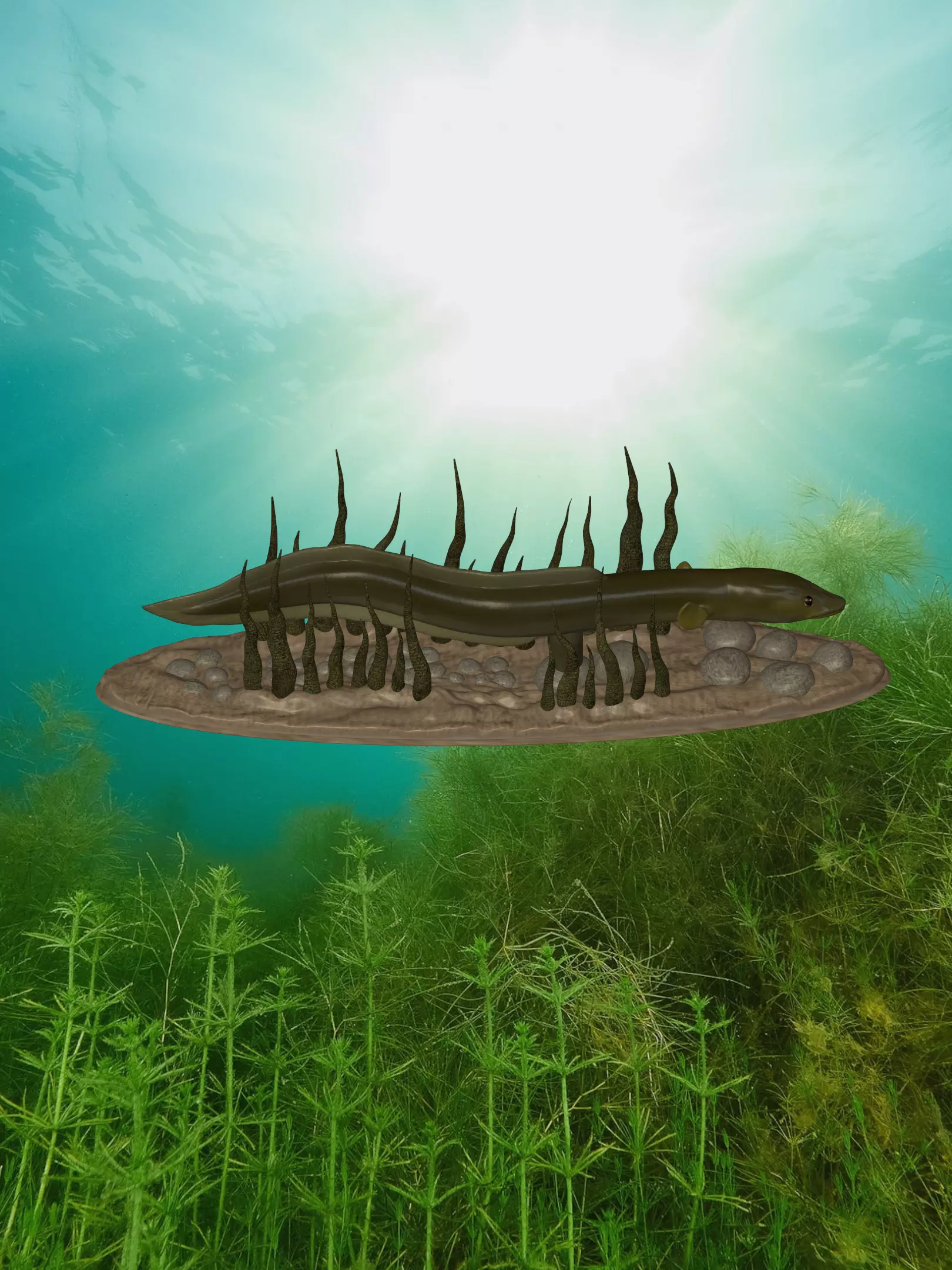 Eel underwater statue deatailed texture for 3d printing Free 3D print model