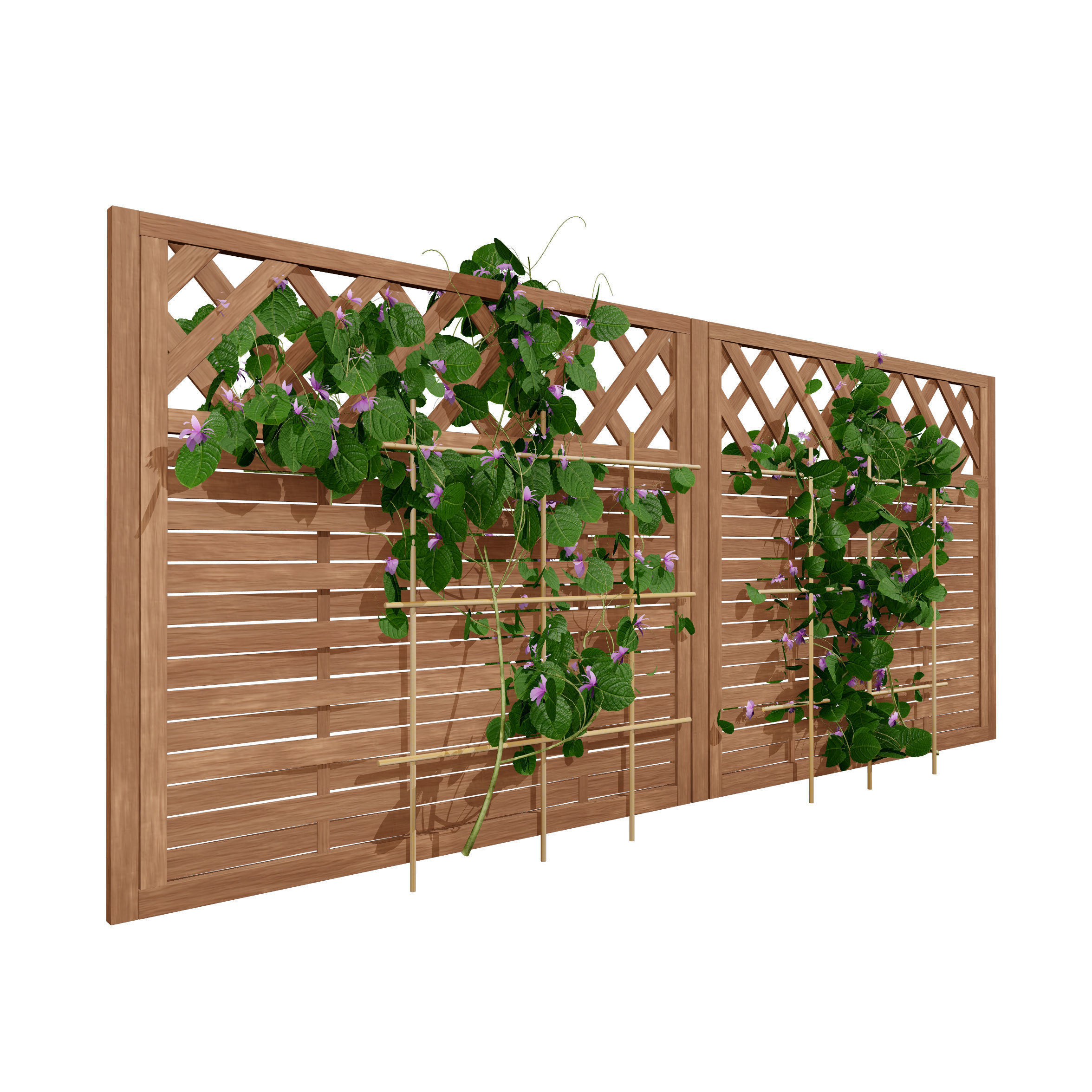 evergreen Dutchman Pipe vine 3d model Low-poly 3D model_9