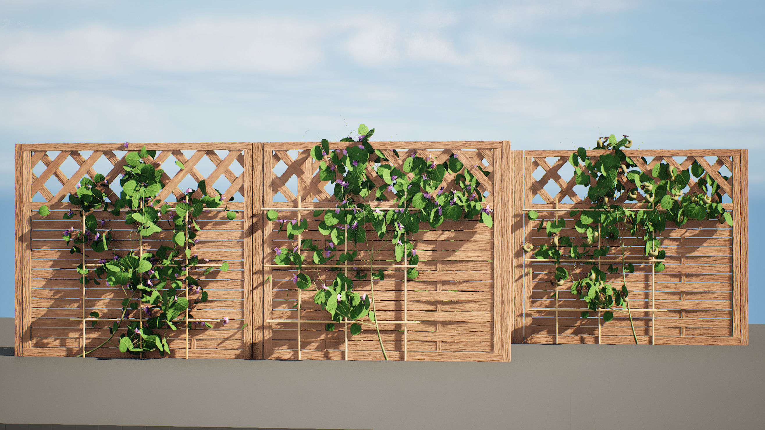 evergreen Dutchman Pipe vine 3d model Low-poly 3D model_6