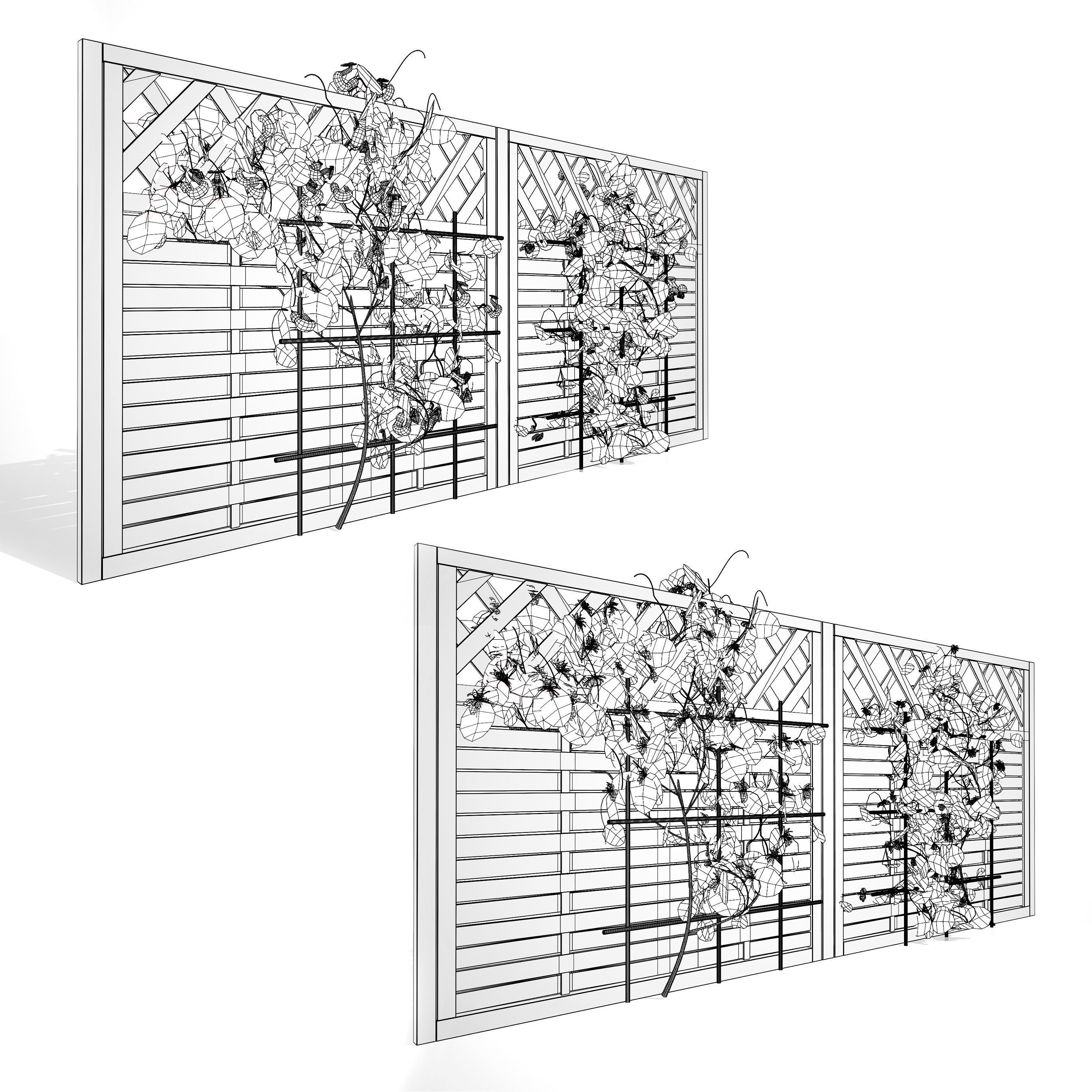 evergreen Dutchman Pipe vine 3d model Low-poly 3D model_12