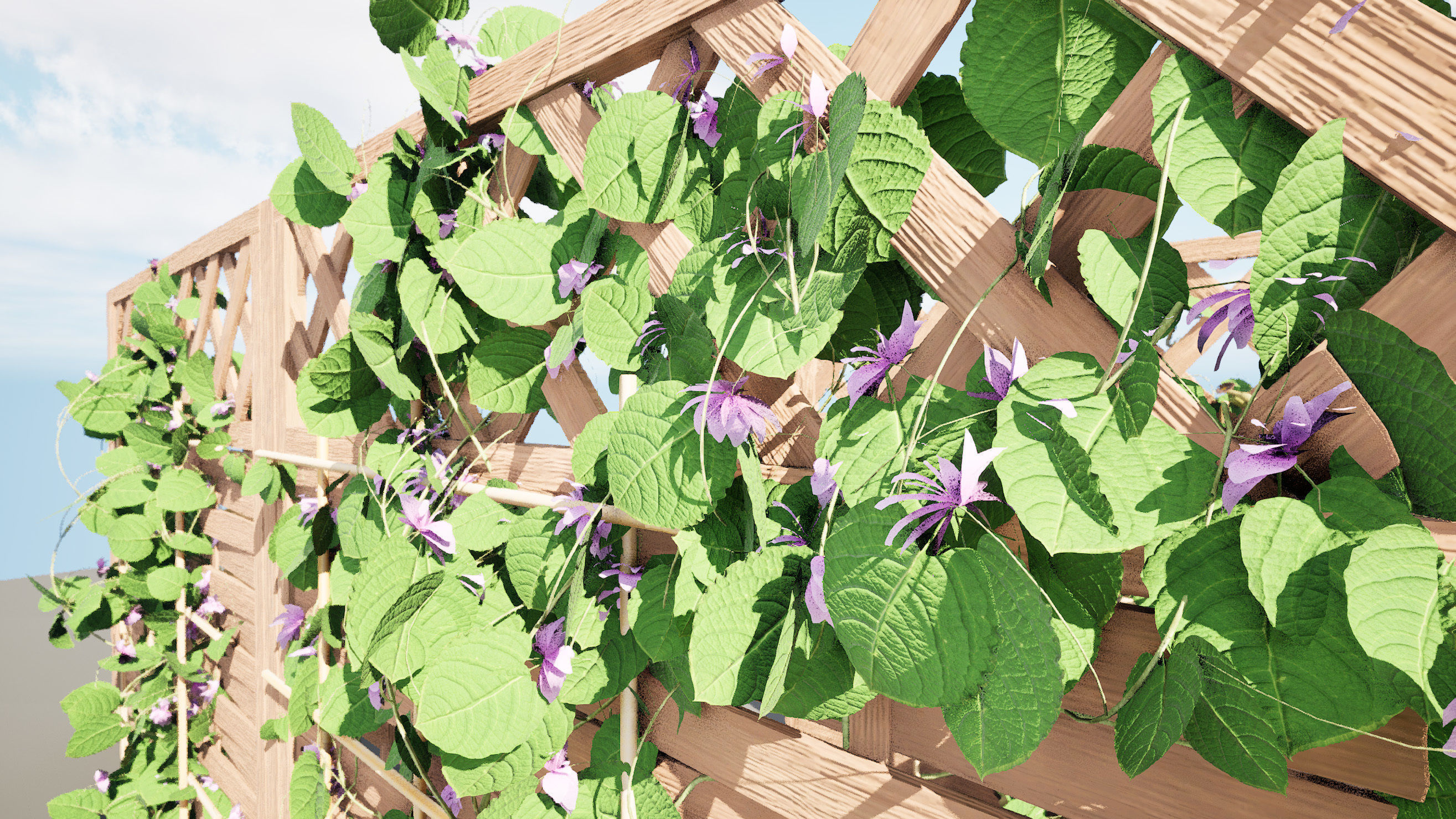 evergreen Dutchman Pipe vine 3d model Low-poly 3D model_2
