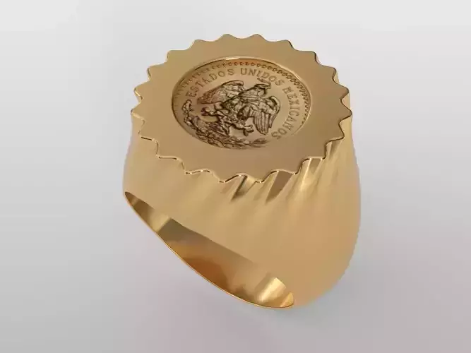  gold bullion coin ring frame flute twist  3D print model