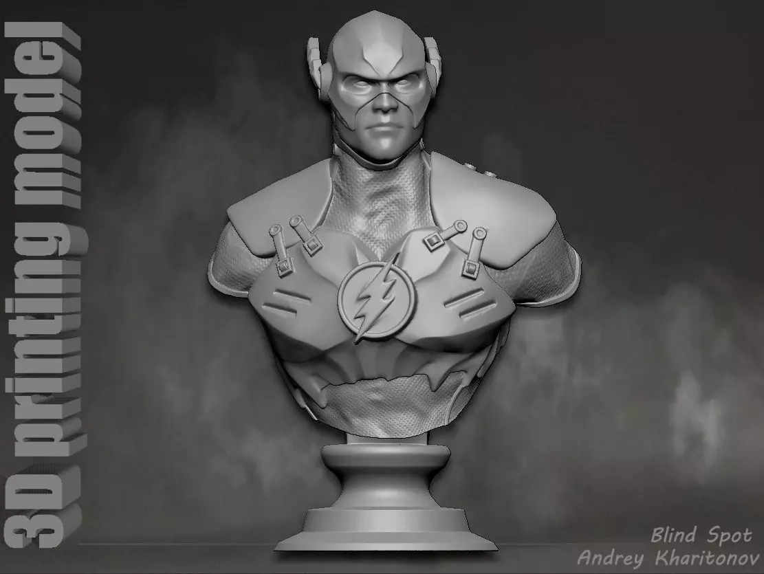 Flash bust2 3D print model_0
