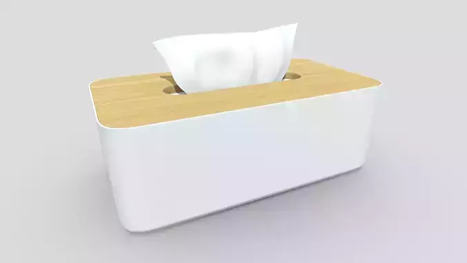 Tissue Box 3