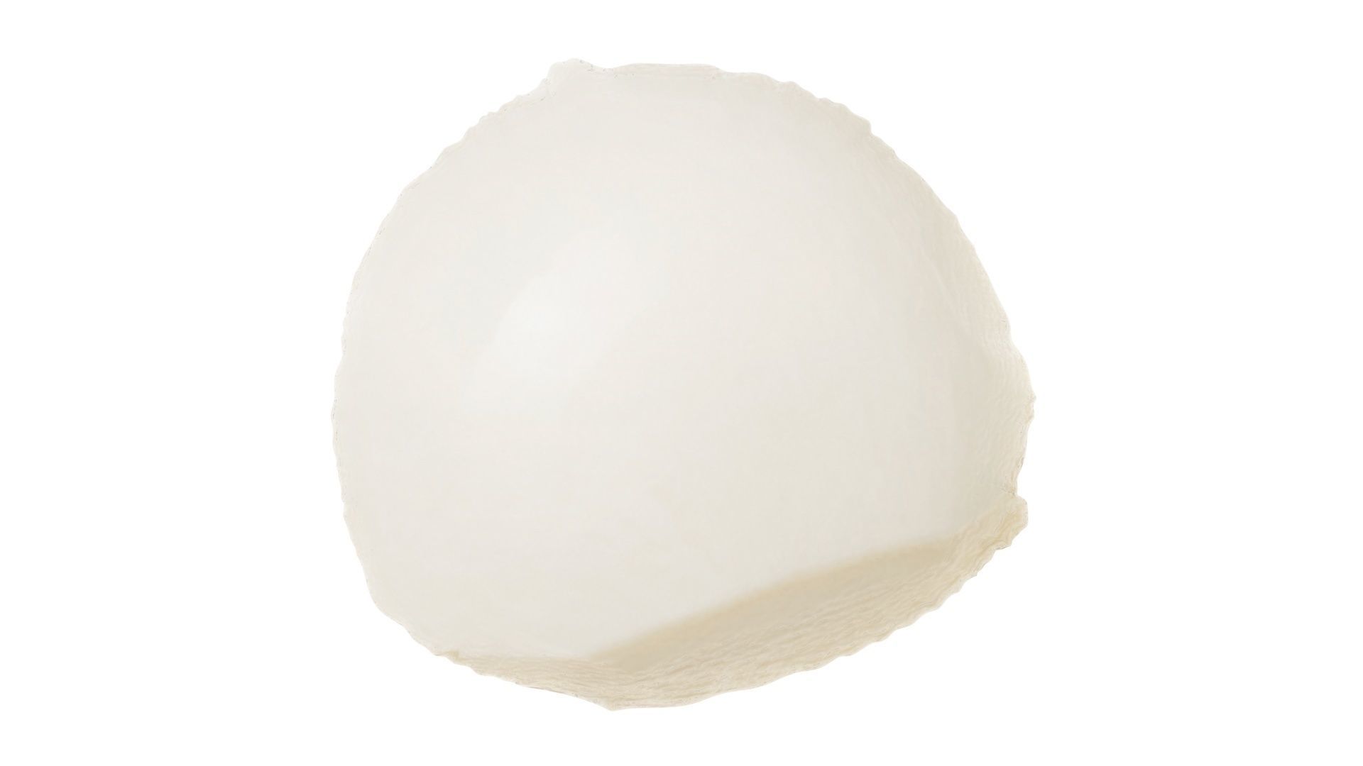 Mini Mozzarella Cheese 3D model_12