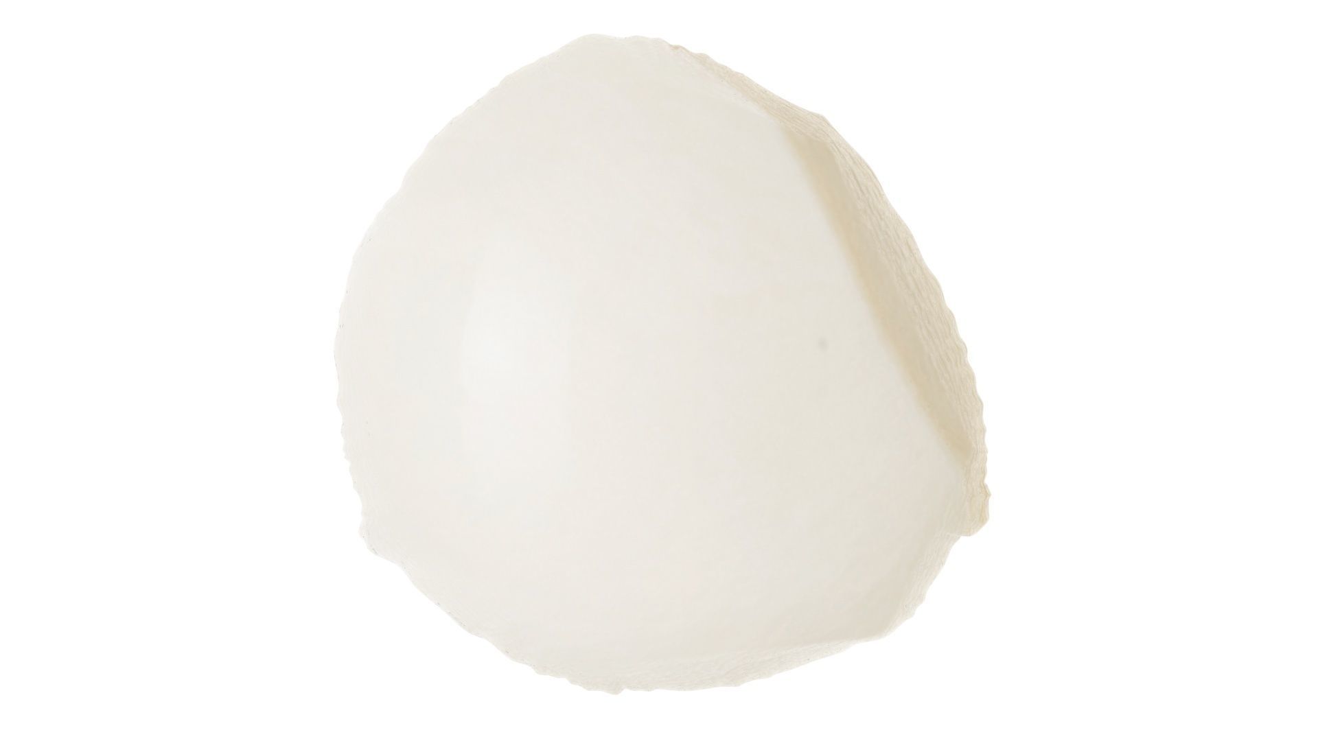 Mini Mozzarella Cheese 3D model_11