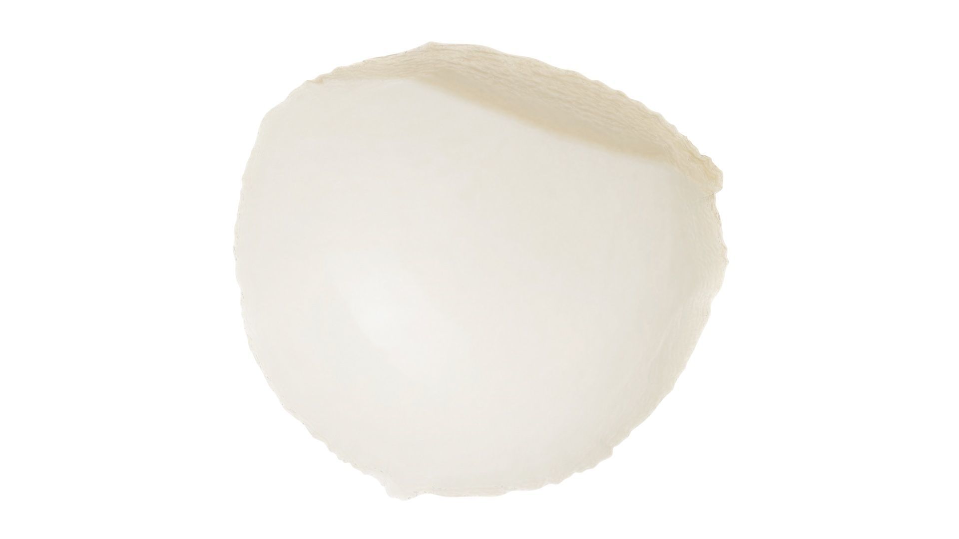 Mini Mozzarella Cheese 3D model_15