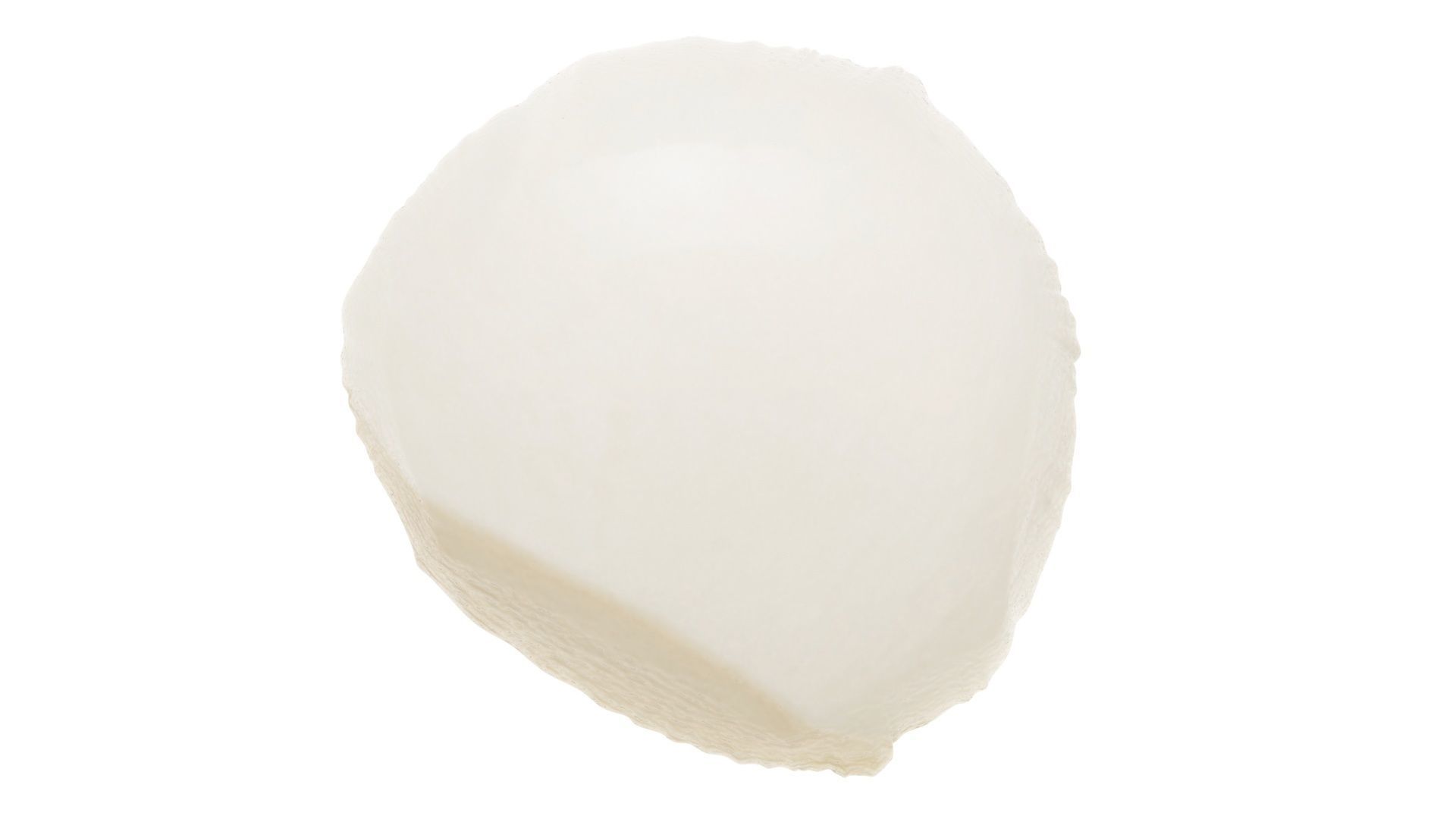 Mini Mozzarella Cheese 3D model_8
