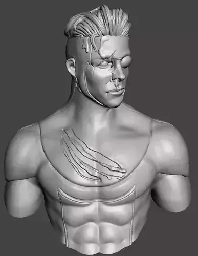 Invincible 3d model for 3d printing in 2 styles STL