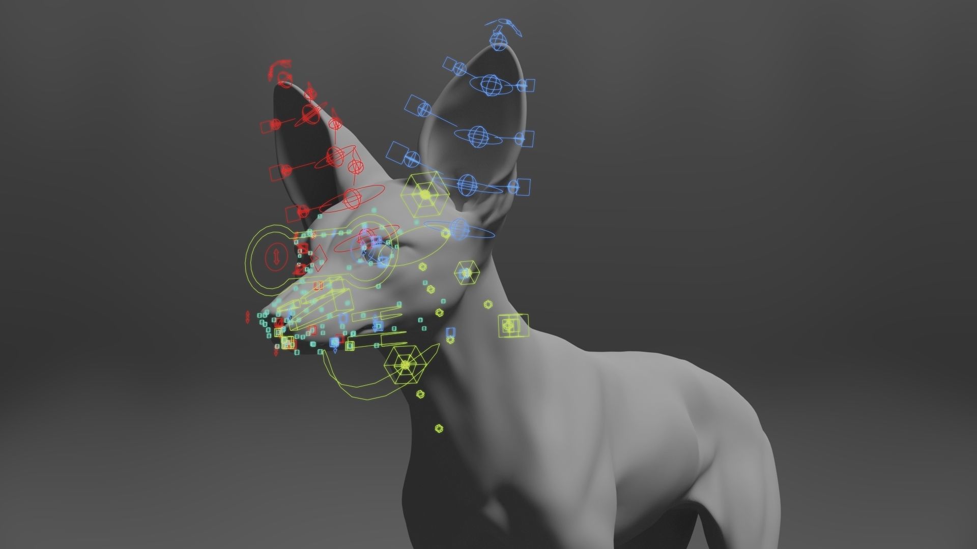 Arabian Red Fox Animation - VFX Grace 3D model_20