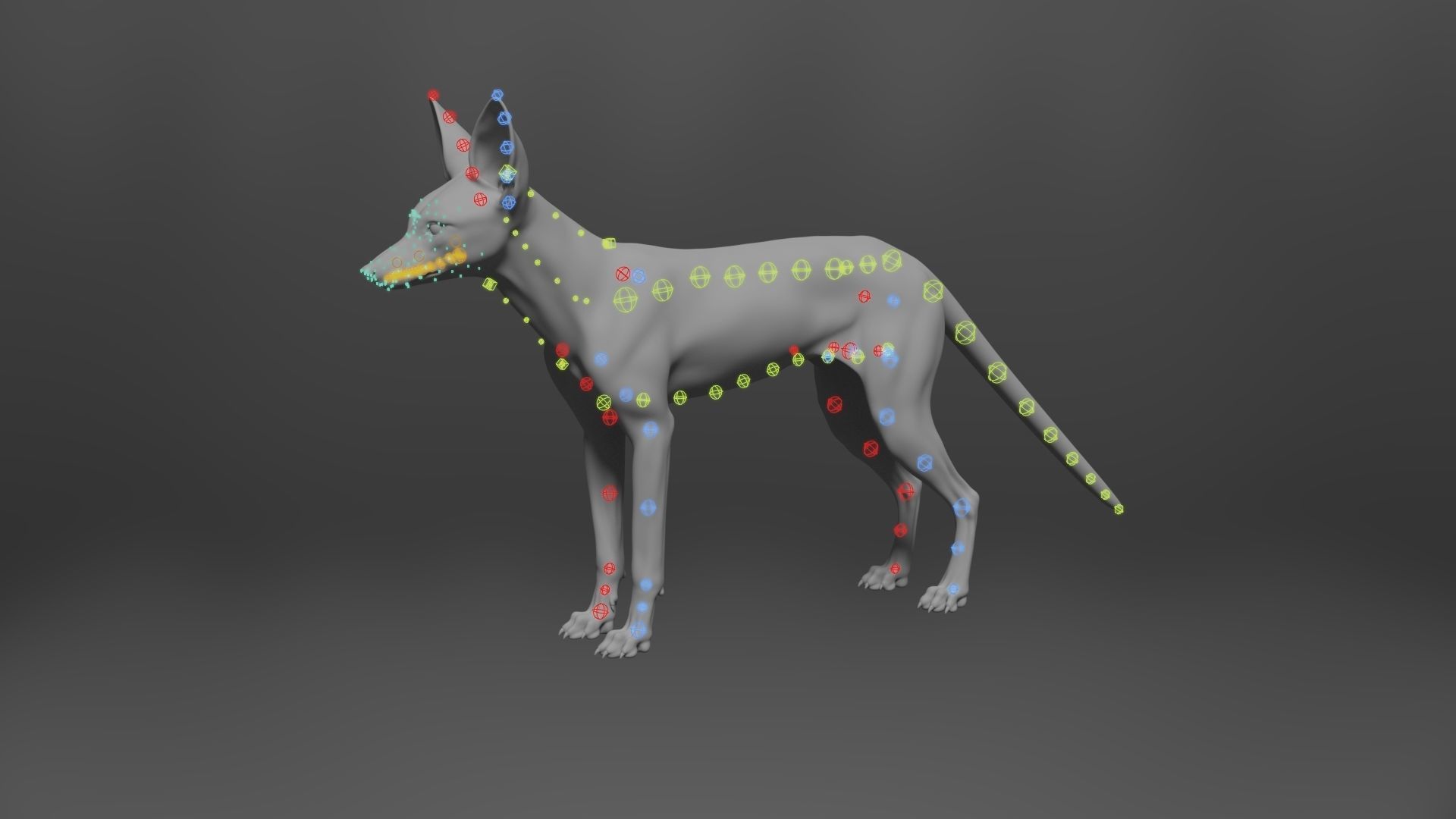 Arabian Red Fox Animation - VFX Grace 3D model_19