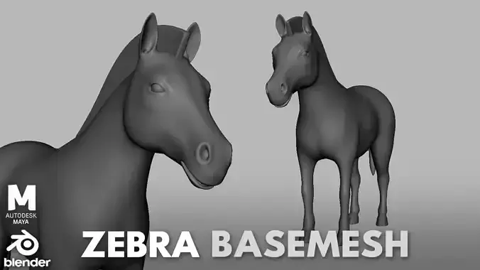 Zebra Basemesh Low-poly 3D model
