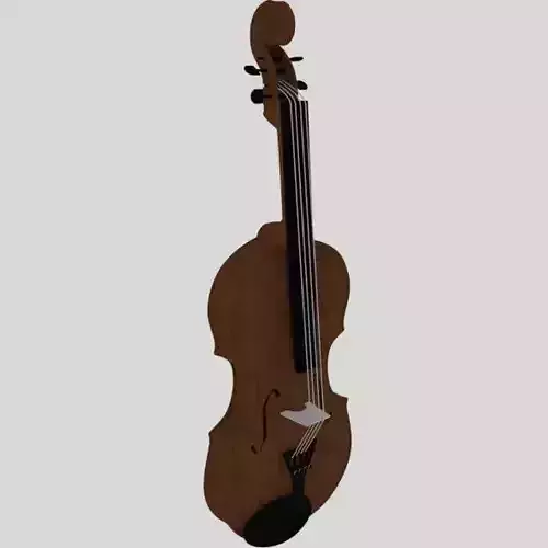 Violin