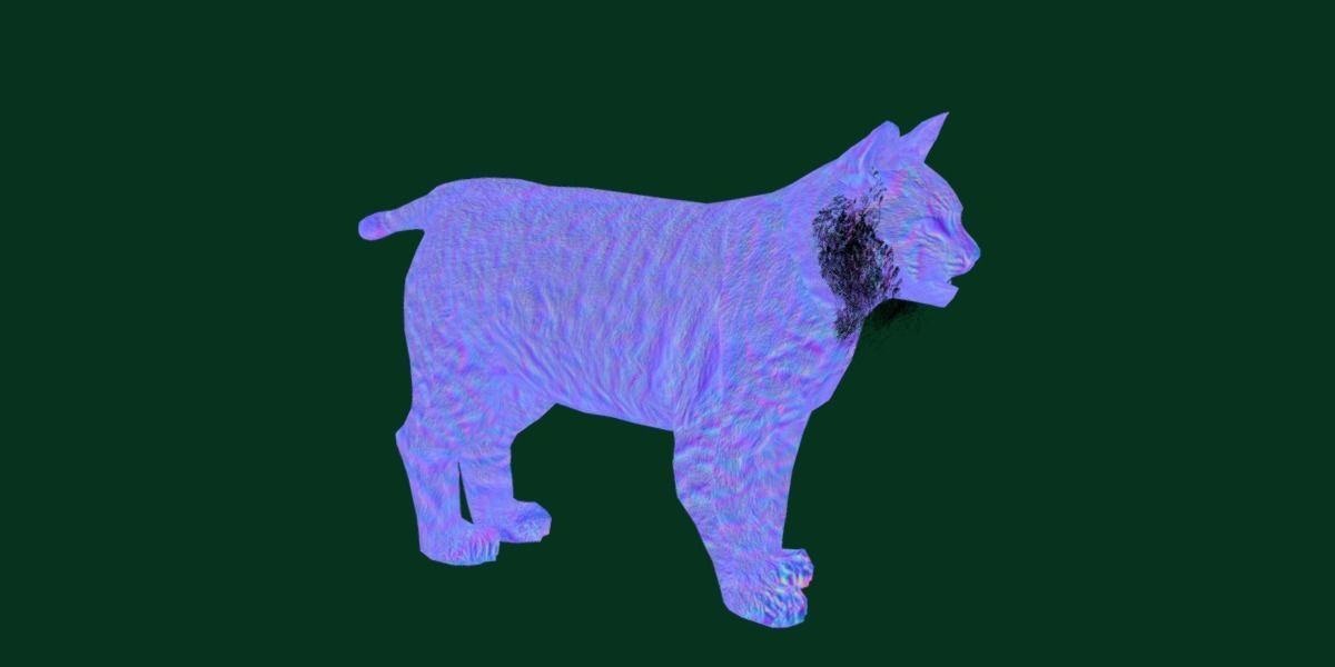 Bobcat Red Lynx Low-poly 3D model_14