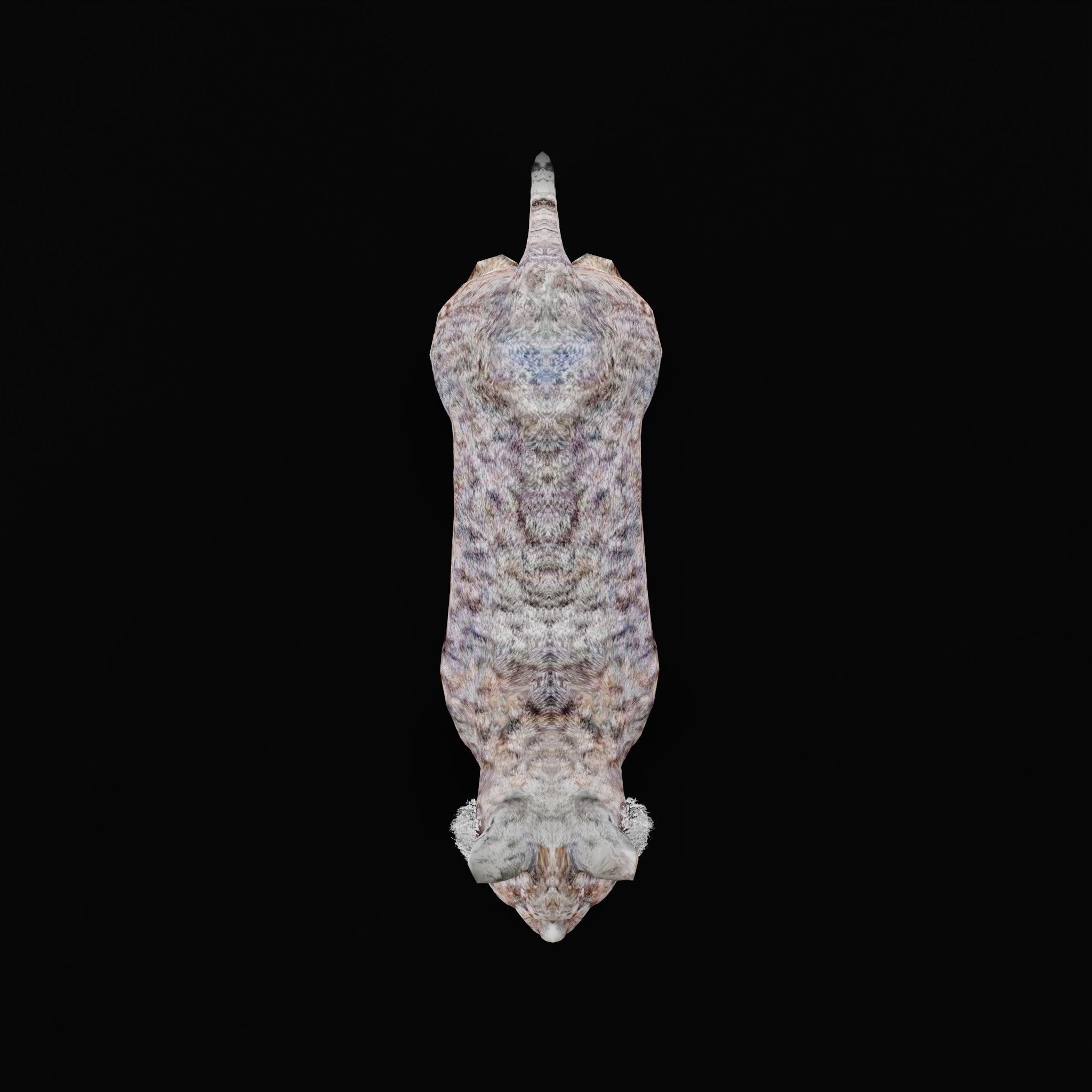 Bobcat Red Lynx Low-poly 3D model_5