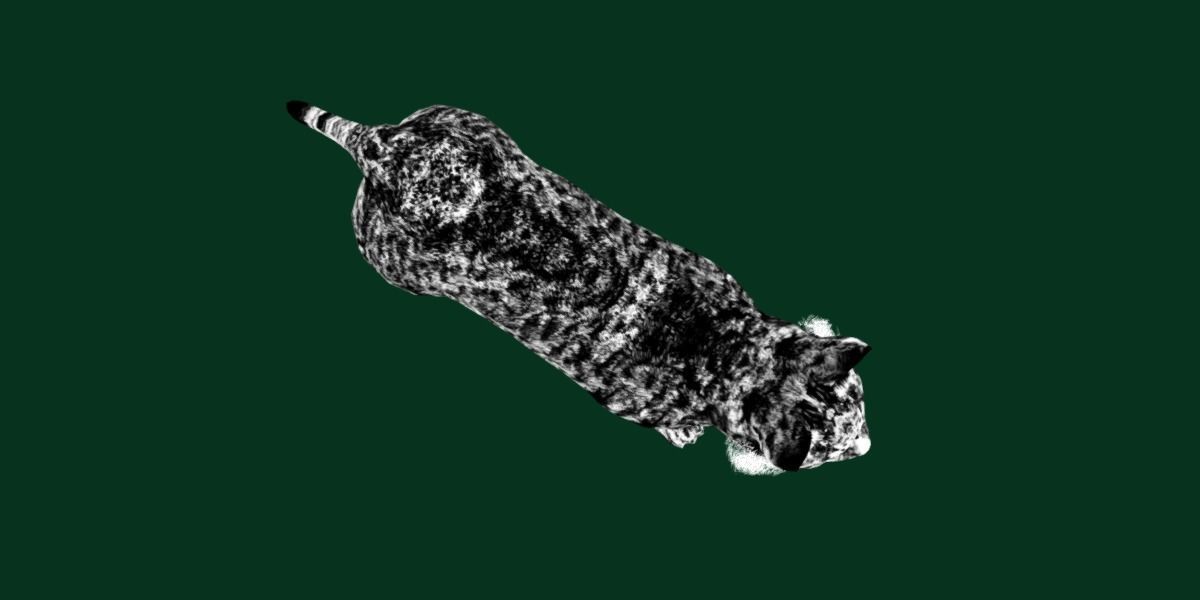 Bobcat Red Lynx Low-poly 3D model_15