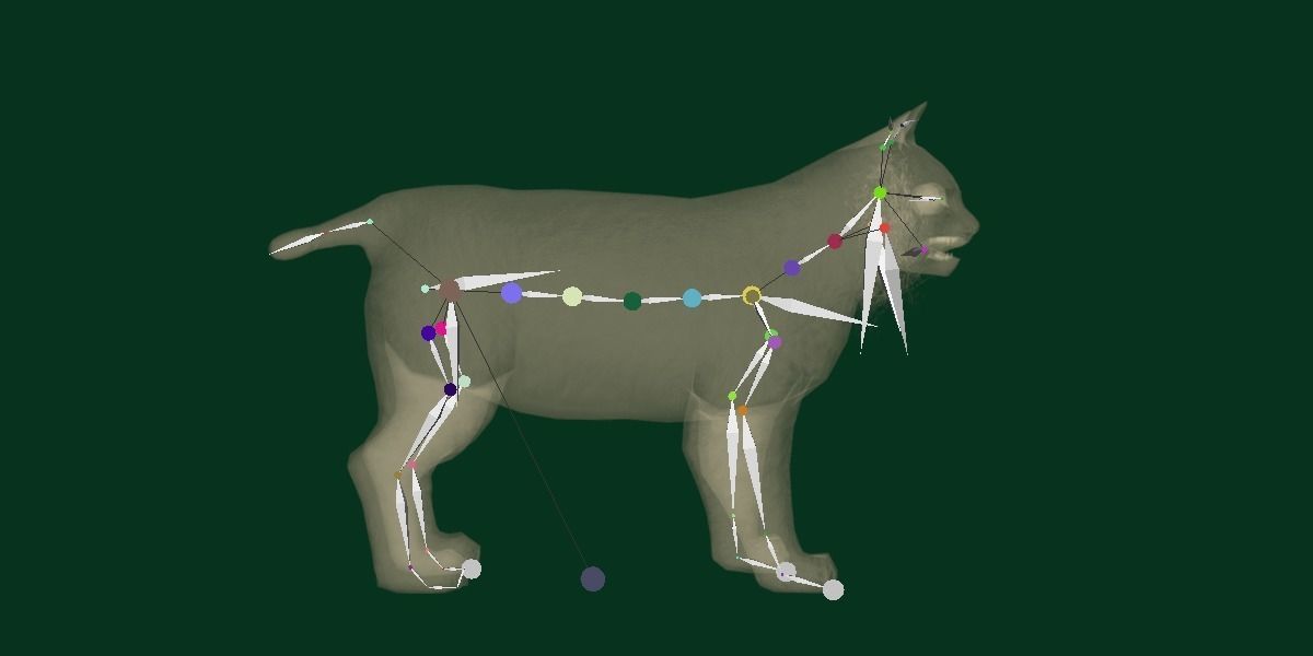 Bobcat Red Lynx Low-poly 3D model_11