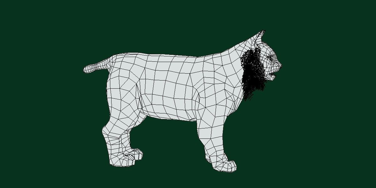 Bobcat Red Lynx Low-poly 3D model_8