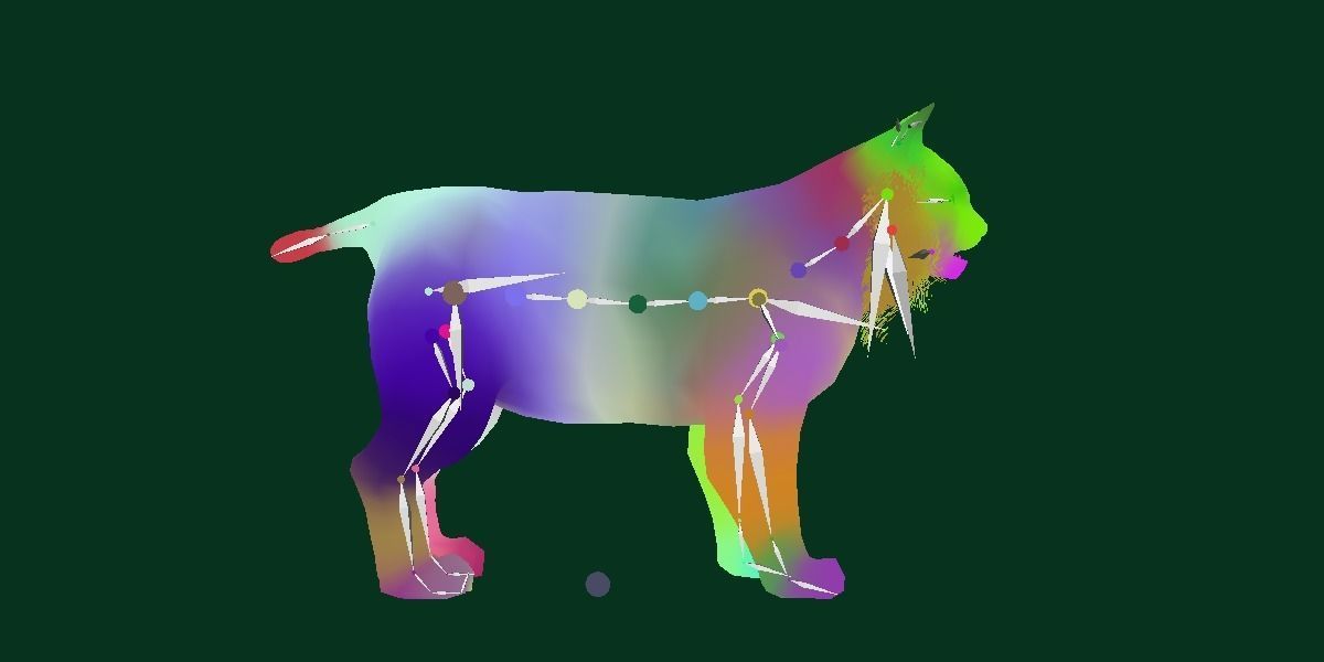 Bobcat Red Lynx Low-poly 3D model_12