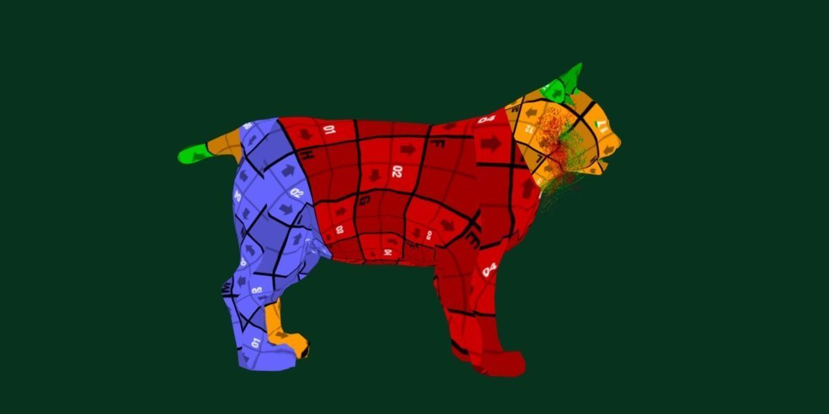 Bobcat Red Lynx Low-poly 3D model_10