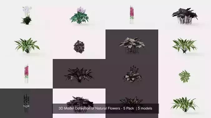 3D Model Collection of Natural Flowers - 5 Pack  