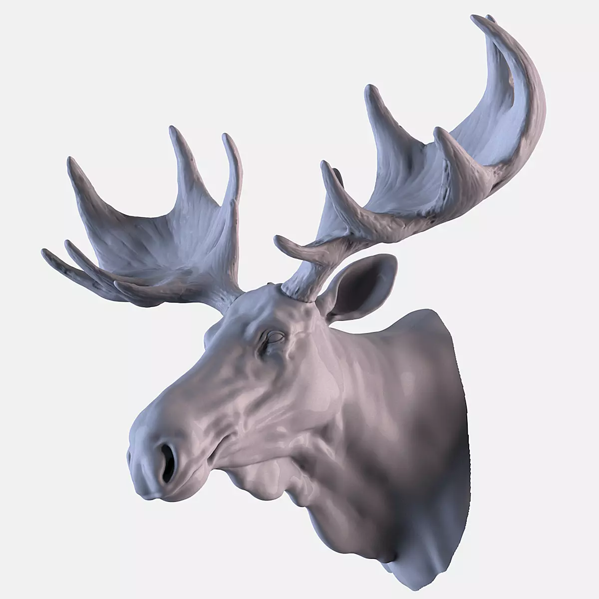 Moose Head 3D print model