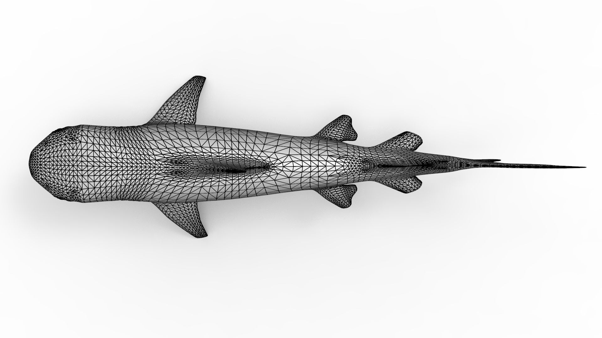 Tiger Shark 3D model_17