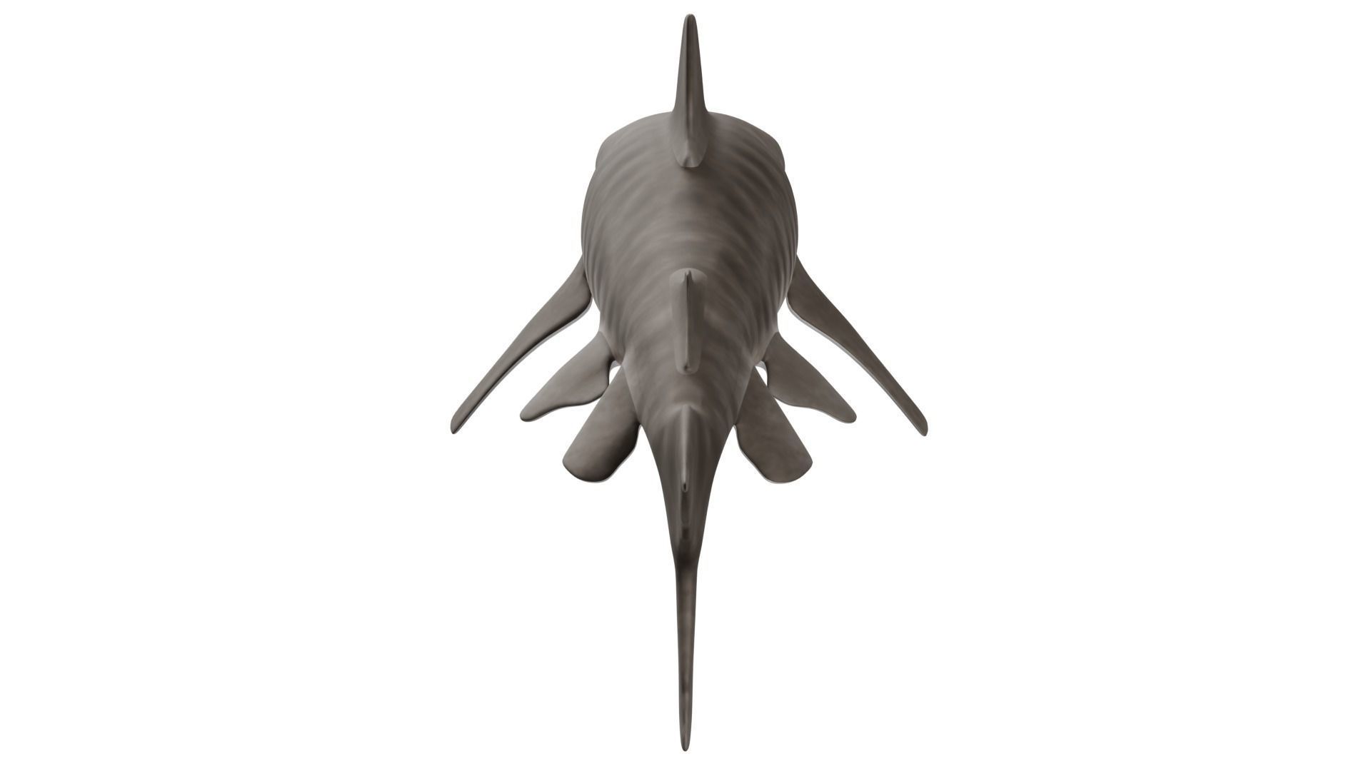 Tiger Shark 3D model_3