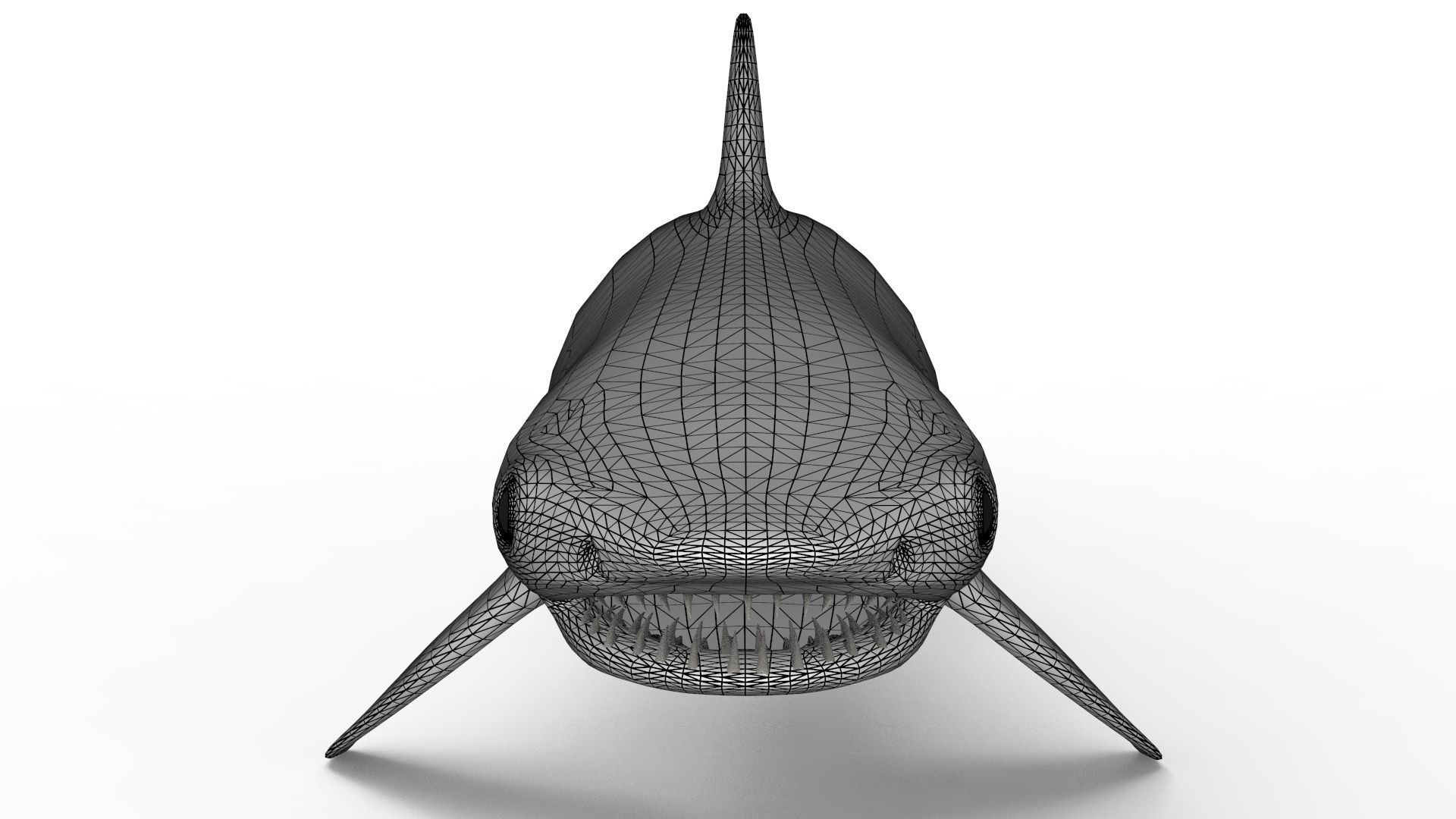 Tiger Shark 3D model_16