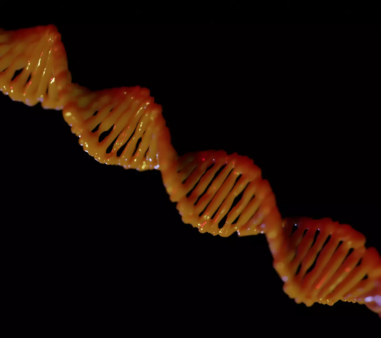 DNA 3D model Free 3D model
