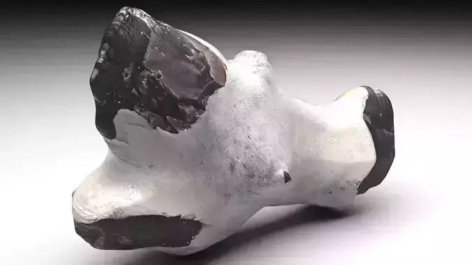 Flint Stone 3D model