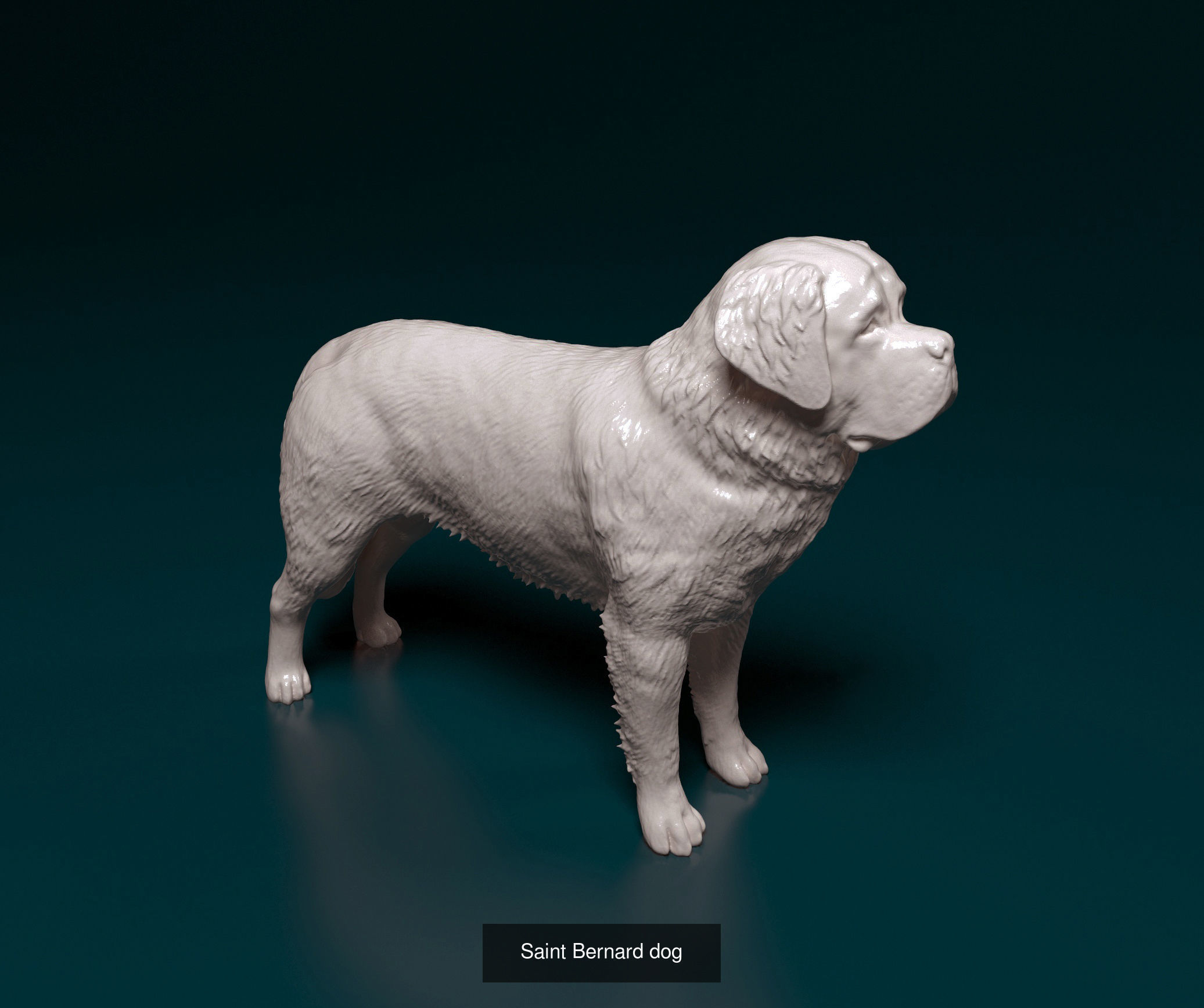 king209211 Collection 2 _8