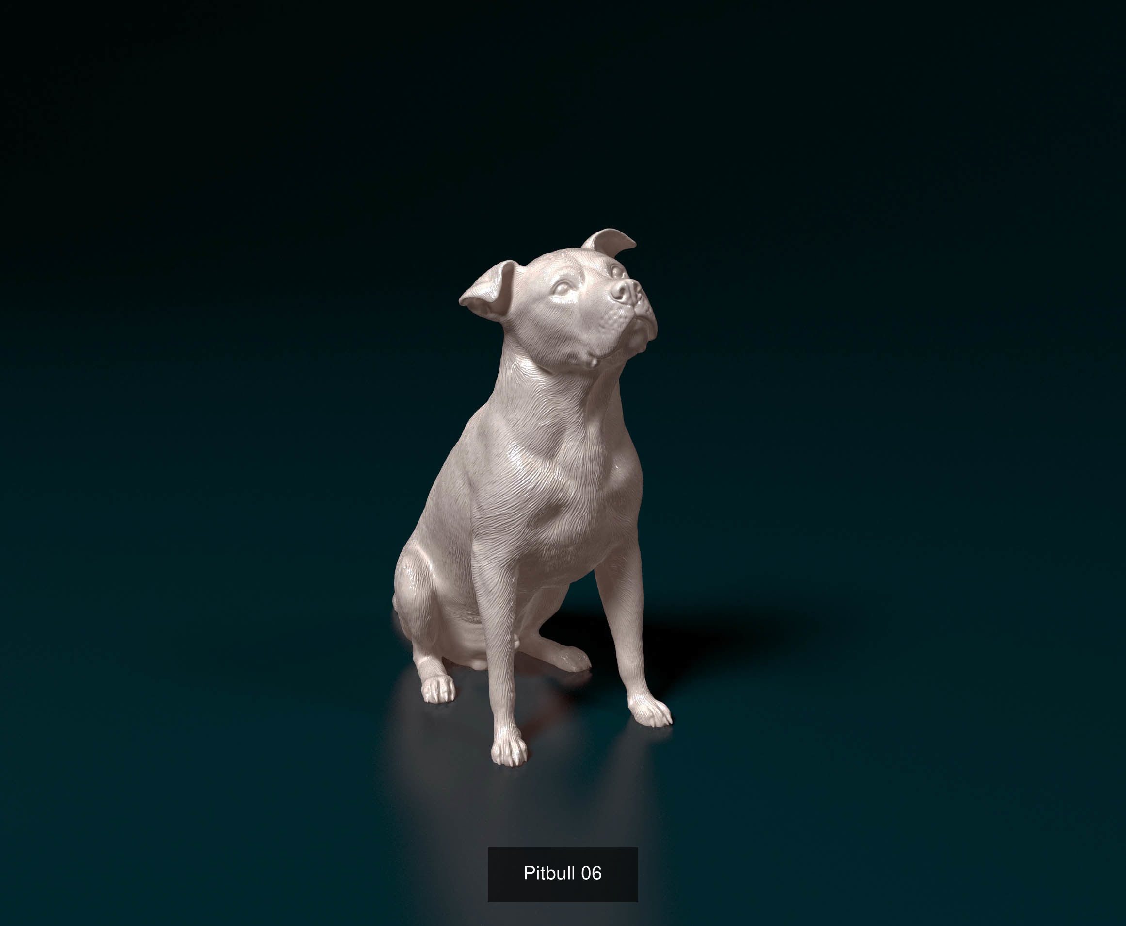 king209211 Collection 2 _14