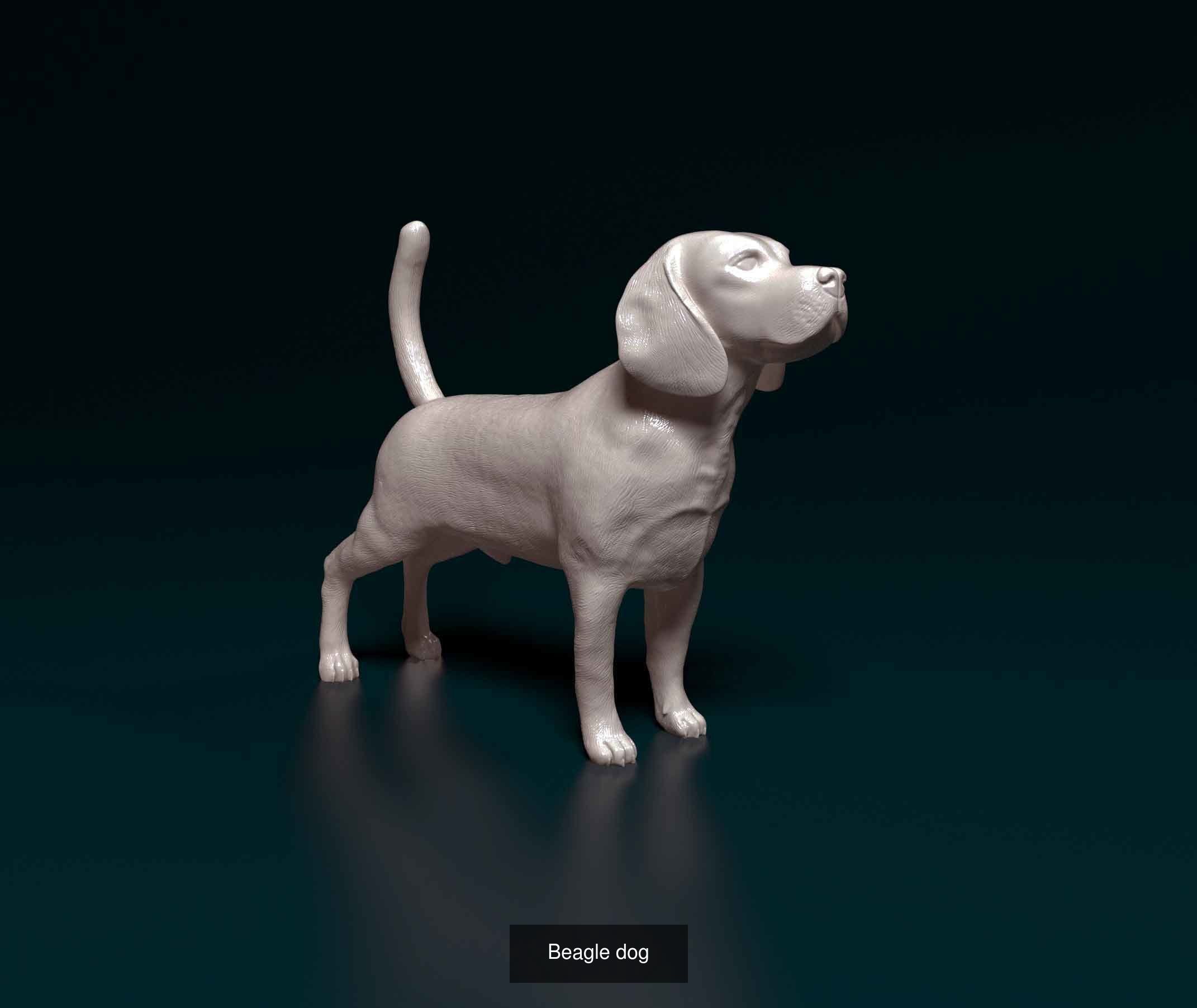 king209211 Collection 2 _2