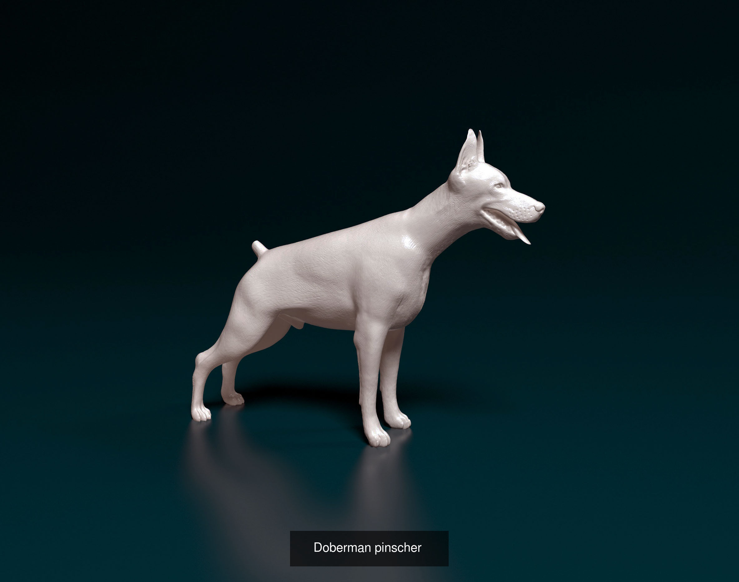 king209211 Collection 2 _4