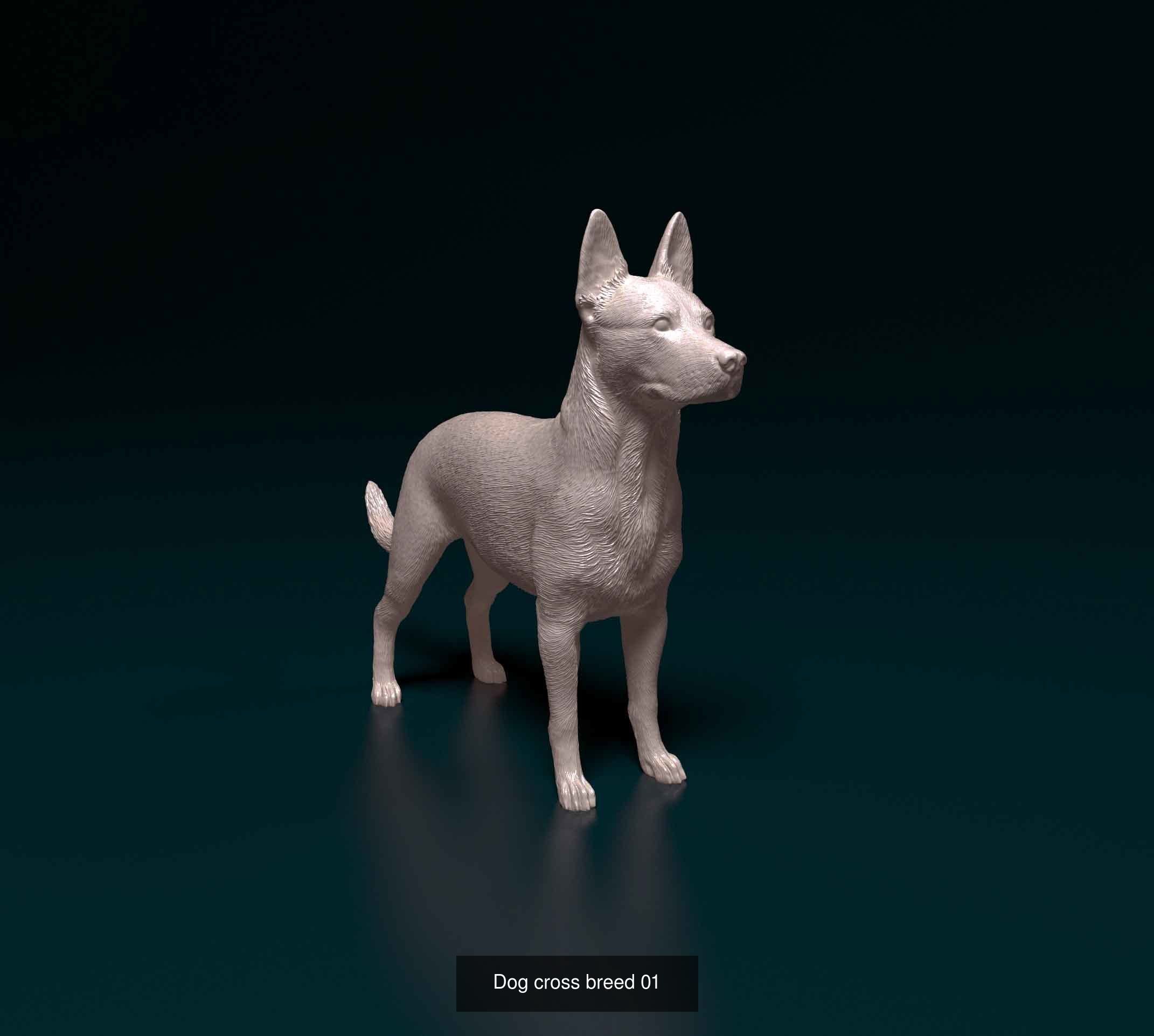 king209211 Collection 2 _12