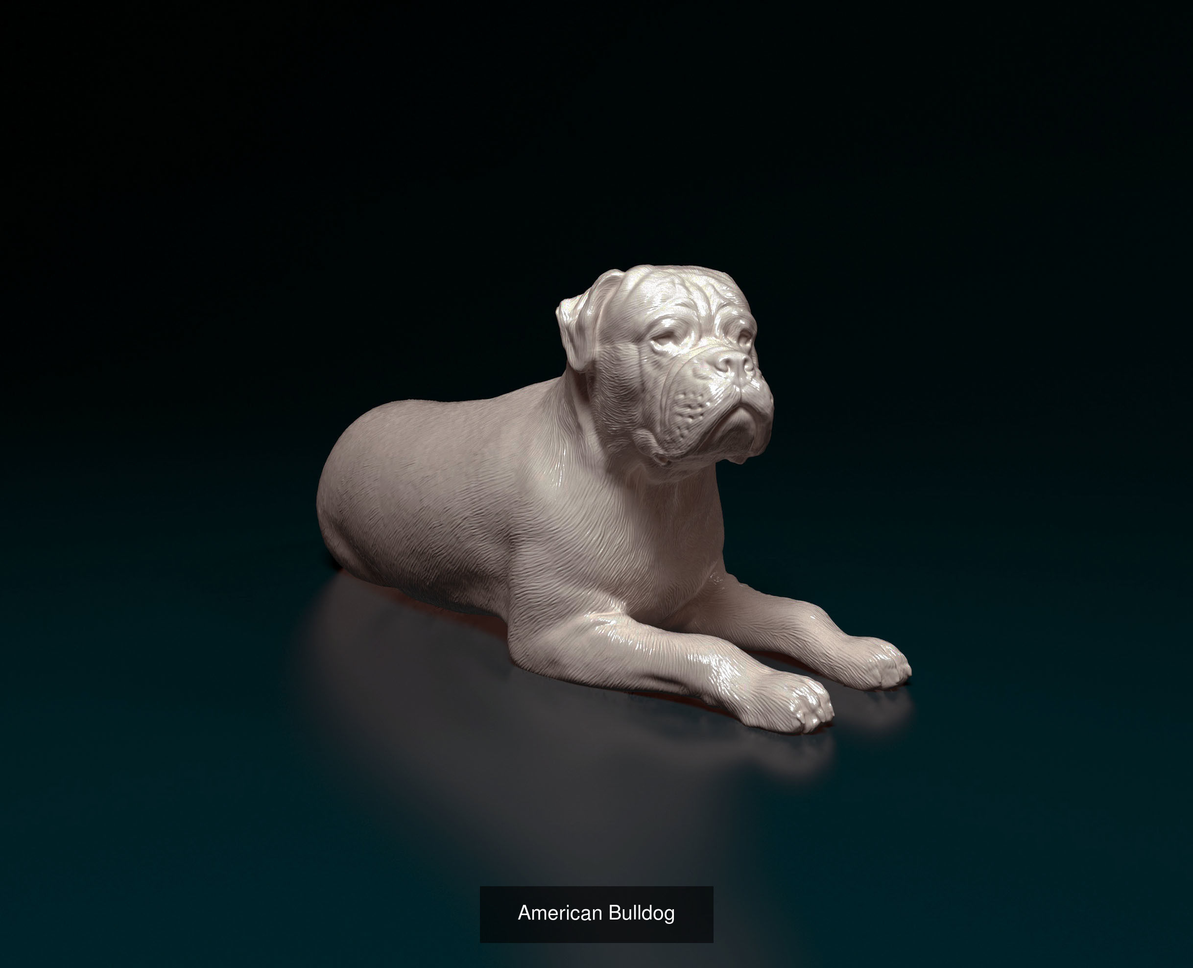 king209211 Collection 2 _1