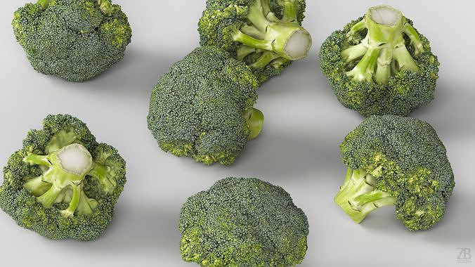 Broccoli 3D model 3
